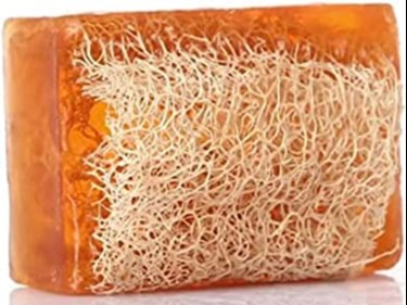 Loofah Soap Bar - Honey